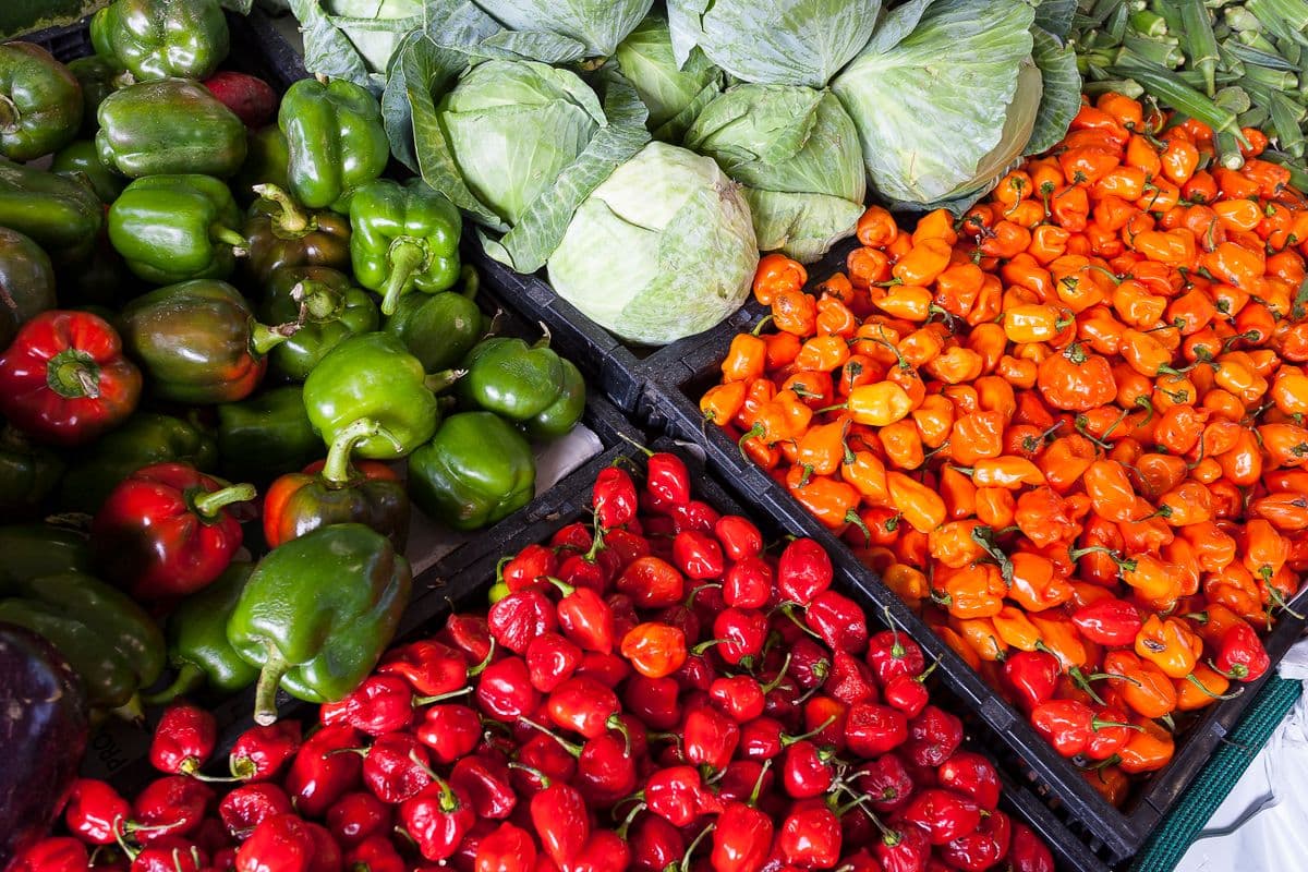Year-round greenhouse crops